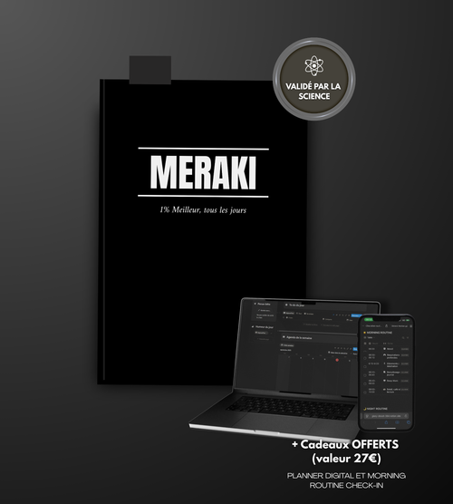 Journal MERAKI - 90 Jours